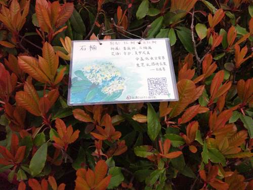 说明: http://xinghuo.njit.edu.cn/__local/9/C5/C6/FF5A36C8648320E94714CEF3659_1C09F496_AC33F.jpg