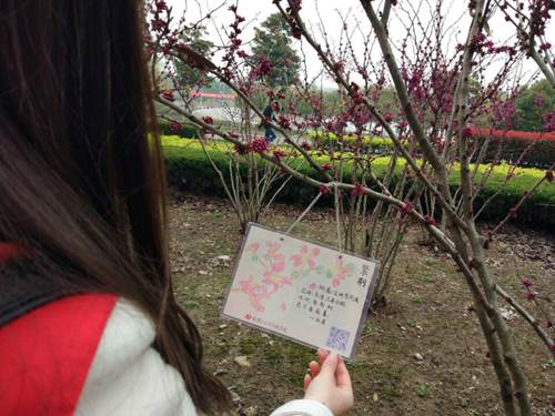 说明: http://xinghuo.njit.edu.cn/__local/B/93/A5/543A72A520B8510DE66638C03A9_C97597C4_1F068.jpg