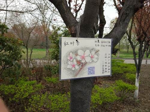 说明: http://xinghuo.njit.edu.cn/__local/3/00/5B/7A53DA50D019E96234C2BE3FD51_7B5F2E15_B0DFF.jpg